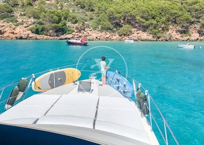 FAIRLINE 50 FLY image 4